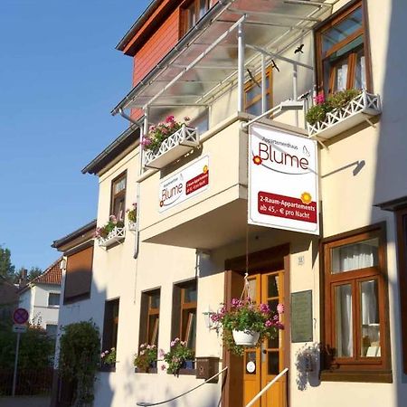 Appartementhaus Blume Бад Пирмонт Екстериор снимка